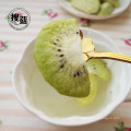 Golden Vendedor Kiwi Fruits Crisps exportador FD Fruits da China